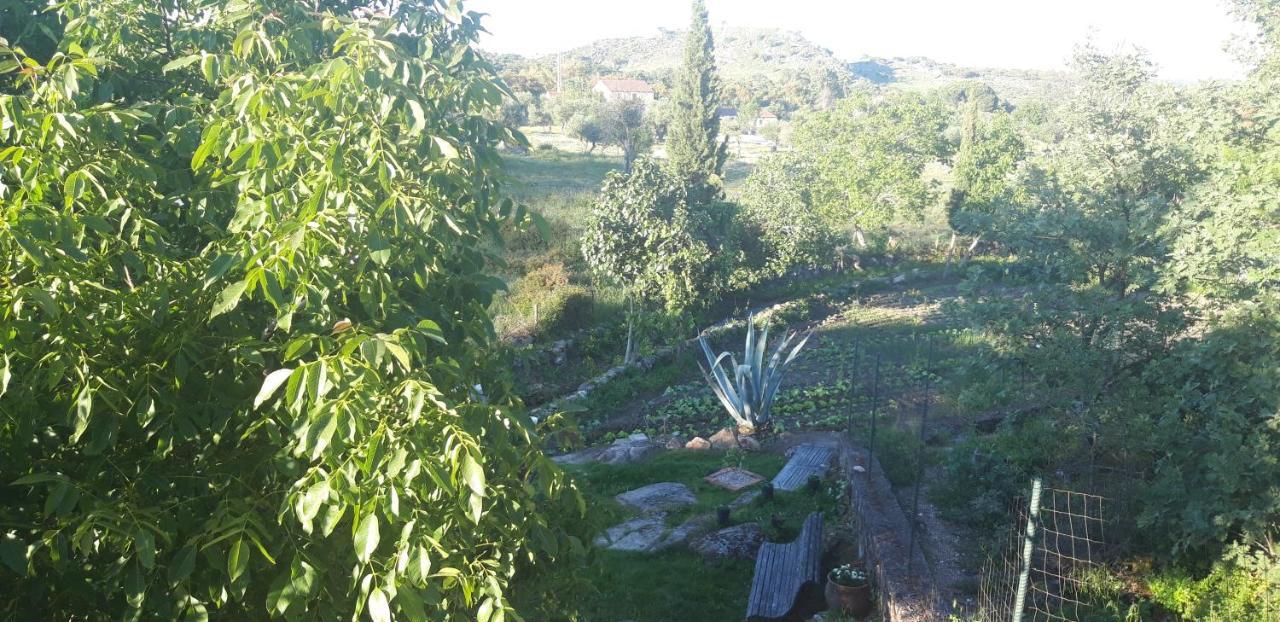 Casa Da Vizinha, Quinta Das Memorias Santo António das Areias Extérieur photo